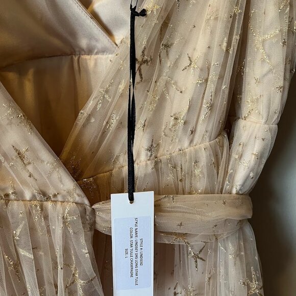 Joanna August - Lindsey Long Star Tulle Gown (NWT) - Picture 9 of 9